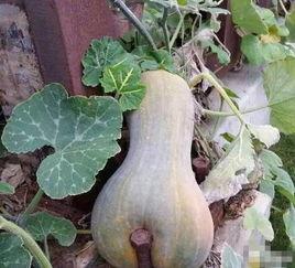 冀云抚宁 第3张 冀云抚宁 第3张