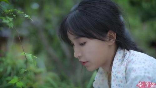 柒小兔 