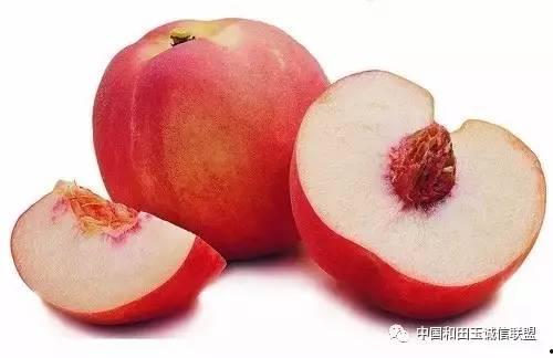 小麻薯贴纸书 
